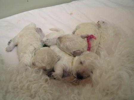 ... a po cucání spaní...